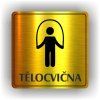Cedule tělocvična – plast (piktogram)