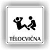 Cedule tělocvična – plast (piktogram)