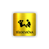 Cedule tělocvična | Piktogram (čtverec)
