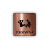 Cedule tělocvična | Piktogram (čtverec)