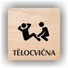 Cedule tělocvična – plast (piktogram)