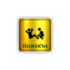 Cedule tělocvična | Piktogram (čtverec)