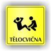 Cedule tělocvična – plast (piktogram)