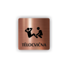 Cedule tělocvična | Piktogram (čtverec)