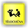 Piktogram - TĚLOCVIČNA