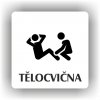 Piktogram - TĚLOCVIČNA