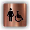 Cedule ženy/invalidé – plast (piktogram)