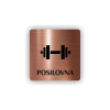 Cedule posilovna | Piktogram (čtverec)