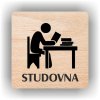 Piktogram - STUDOVNA