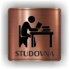 Piktogram - STUDOVNA