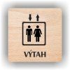 Cedule výtah – plast (piktogram)