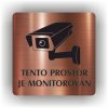 Piktogram - TENTO PROSTOR JE MONITOROVÁN