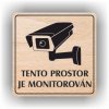Piktogram - TENTO PROSTOR JE MONITOROVÁN