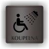 Cedule koupelna vozíčkaři,invalidé – plast (piktogram)