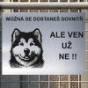 Pozor tady hlídám já - Aljašský malamut - pozor pes!!!