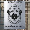 Pozor tady hlídám já - Anatolský pastevecký pes - pozor pes!!!
