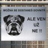 Pozor tady hlídám já - Anglický buldok - pozor pes!!!