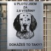 Pozor tady hlídám já - Anglický setr - pozor pes!!!