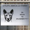 Pozor tady hlídám já - Basenji - pozor pes!!!