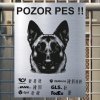 Pozor tady hlídám já - Belgický malinois - pozor pes!!!