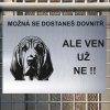 Pozor tady hlídám já - Bloodhound - pozor pes!!!