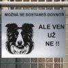 Pozor tady hlídám já - Border kolie - pozor pes!!!