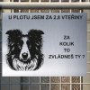 Pozor tady hlídám já - Border kolie - pozor pes!!!