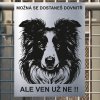 Pozor tady hlídám já - Border kolie - pozor pes!!!