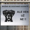 Pozor tady hlídám já - Boxer - pozor pes!!!