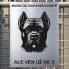Pozor tady hlídám já - Cane corso - pozor pes!!!