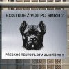 Pozor tady hlídám já - Cane corso - pozor pes!!!