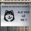 Pozor tady hlídám já - Finský laponský pes - pozor pes!!!