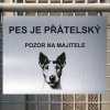 Pozor tady hlídám já - Foxteriér hladkosrstý - pozor pes!!!