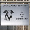 Pozor tady hlídám já - Greyhound - pozor pes!!!