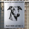 Pozor tady hlídám já - Greyhound - pozor pes!!!