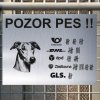 Pozor tady hlídám já - Greyhound - pozor pes!!!