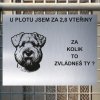 Pozor tady hlídám já - Irský pšeničný teriér - pozor pes!!!