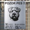 Pozor tady hlídám já - Irský pšeničný teriér - pozor pes!!!