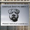 Pozor tady hlídám já - Irský pšeničný teriér - pozor pes!!!
