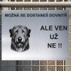 Pozor tady hlídám já - Irský vlkodav - pozor pes!!!