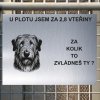 Pozor tady hlídám já - Irský vlkodav - pozor pes!!!
