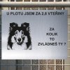 Pozor tady hlídám já - Kolie - pozor pes!!!