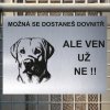 Pozor tady hlídám já - Labradorský retrívr - pozor pes!!!