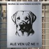 Pozor tady hlídám já - Labradorský retrívr - pozor pes!!!