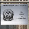 Pozor tady hlídám já - Lhasa apso - pozor pes!!!