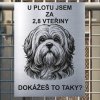 Pozor tady hlídám já - Lhasa apso - pozor pes!!!