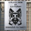 Pozor tady hlídám já - Německý ovčák - pozor pes!!!