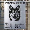 Pozor tady hlídám já - Norský lundehund - pozor pes!!!