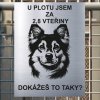 Pozor tady hlídám já - Norský lundehund - pozor pes!!!