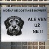 Pozor tady hlídám já - Otterhound - pozor pes!!!